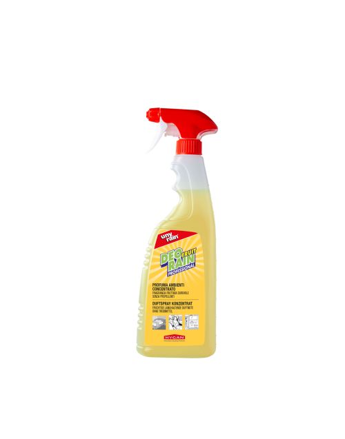 HYGAN UNYRAIN DEORAIN FRUIT - Profuma ambienti concentrato